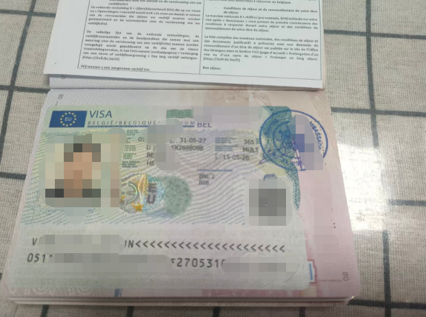 比利时家庭团聚签证案例分析